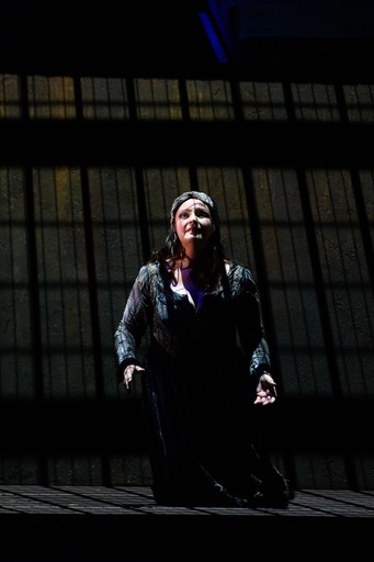 Frau ohne Schatten, Färberin @Théâtre du Capitole Toulouse